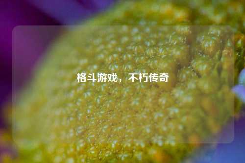 格斗游戏，不朽传奇