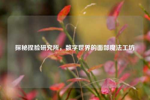 探秘捏脸研究所，数字世界的面部魔法工坊