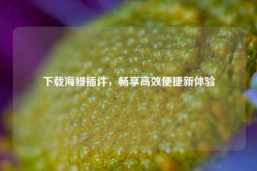 下载海鳗插件,畅享高效便捷新体验