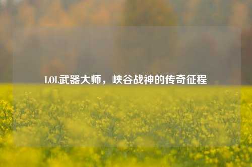 LOL武器大师,峡谷战神的传奇征程