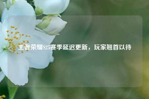 王者荣耀S25赛季延迟更新，玩家翘首以待