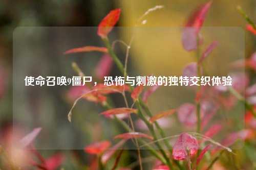 使命召唤9僵尸，恐怖与刺激的独特交织体验
