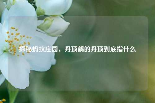 探秘蚂蚁庄园,丹顶鹤的丹顶到底指什么