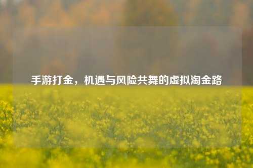 手游打金,机遇与风险共舞的虚拟淘金路