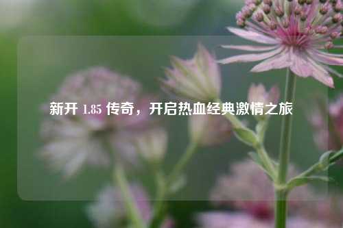 新开 1.85 传奇，开启热血经典激情之旅