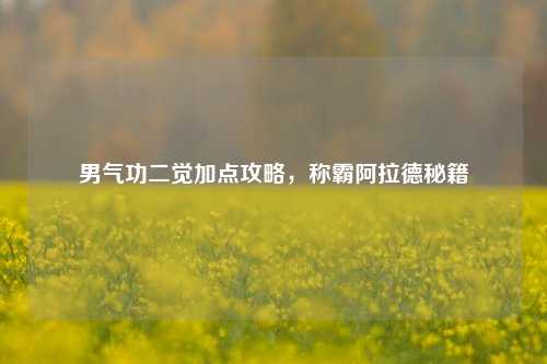 男气功二觉加点攻略，称霸阿拉德秘籍