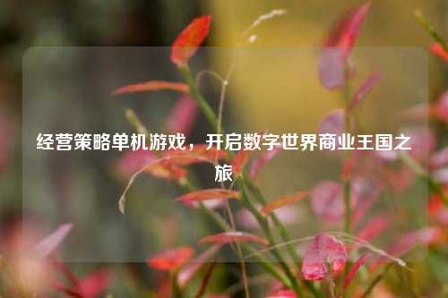 经营策略单机游戏,开启数字世界商业王国之旅