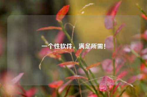 一个性软件，满足所需！