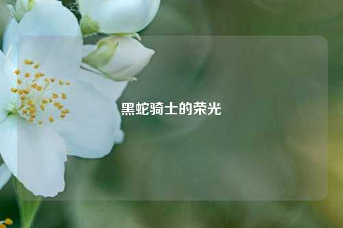 黑蛇骑士的荣光