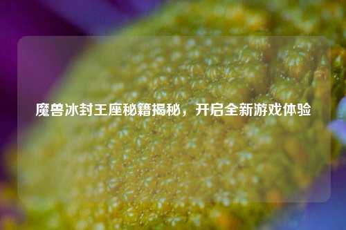 魔兽冰封王座秘籍揭秘，开启全新游戏体验