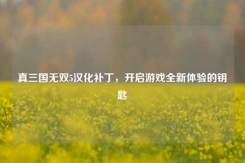 真三国无双5汉化补丁，开启游戏全新体验的钥匙