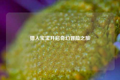 猎人宝宝开启奇幻冒险之旅