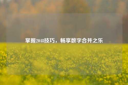 掌握2048技巧，畅享数字合并之乐