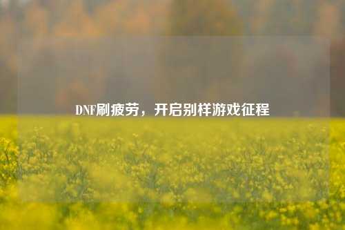 DNF刷疲劳，开启别样游戏征程