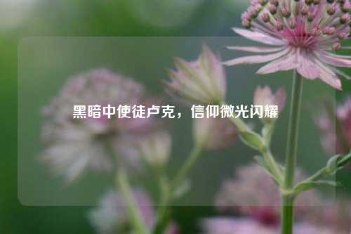 黑暗中使徒卢克,信仰微光闪耀