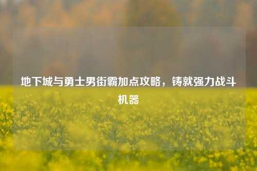 地下城与勇士男街霸加点攻略,铸就强力战斗机器