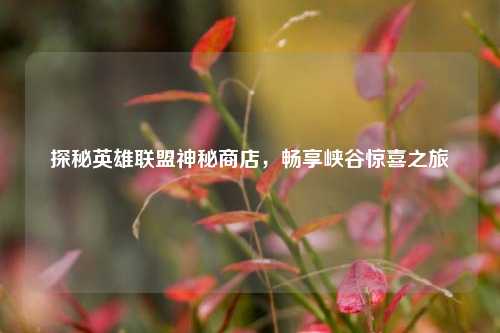 探秘英雄联盟神秘商店，畅享峡谷惊喜之旅