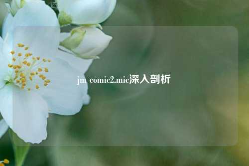 jm comic2.mic深入剖析