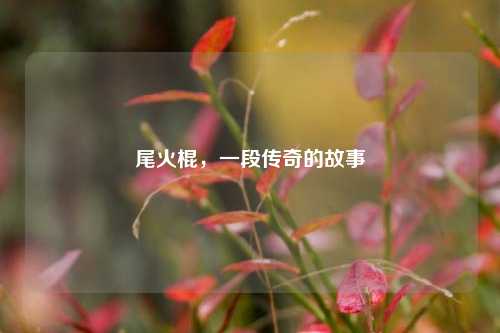 尾火棍，一段传奇的故事