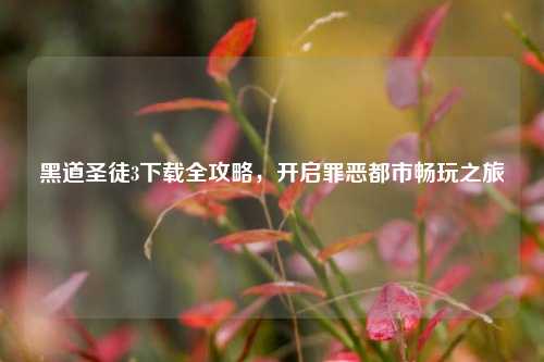 黑道圣徒3下载全攻略，开启罪恶都市畅玩之旅