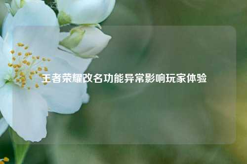 王者荣耀改名功能异常影响玩家体验