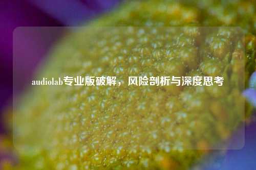 audiolab专业版破解，风险剖析与深度思考