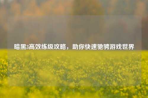暗黑3高效练级攻略，助你快速驰骋游戏世界