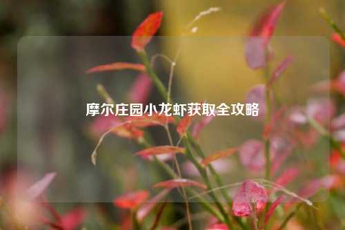 摩尔庄园小龙虾获取全攻略