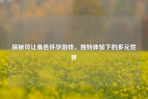 探秘可让角色怀孕游戏，独特体验下的多元世界