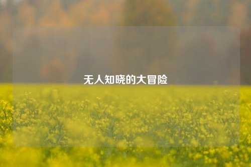 无人知晓的大冒险