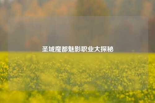 圣域魔都魅影职业大探秘