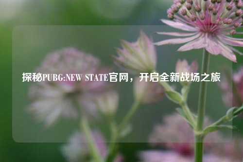 探秘PUBG:NEW STATE官网，开启全新战场之旅