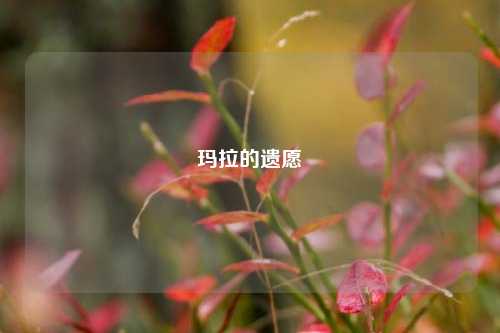 玛拉的遗愿