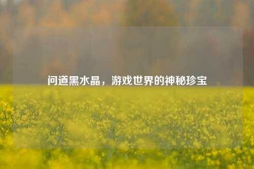 问道黑水晶，游戏世界的神秘珍宝