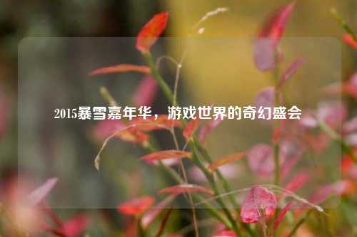 2015暴雪嘉年华,游戏世界的奇幻盛会