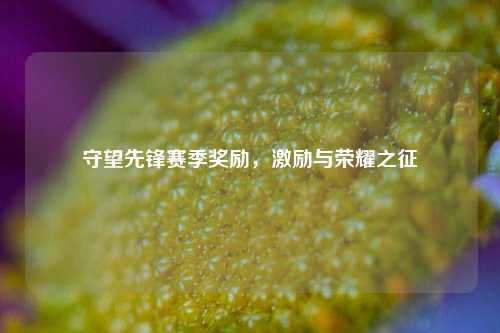 守望先锋赛季奖励，激励与荣耀之征