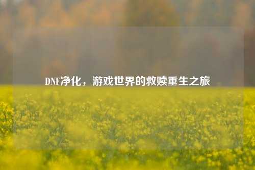 DNF净化,游戏世界的救赎重生之旅