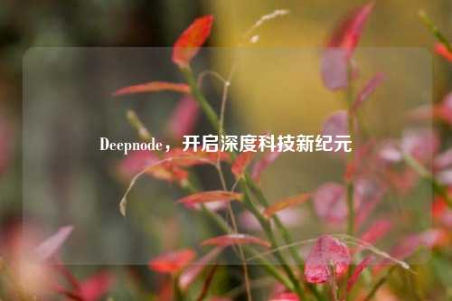 Deepnode，开启深度科技新纪元