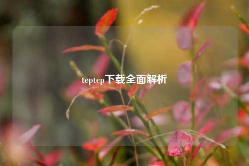 teptep下载全面解析