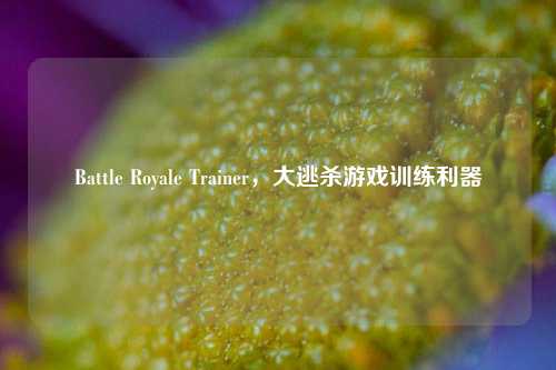 Battle Royale Trainer,大逃杀游戏训练利器