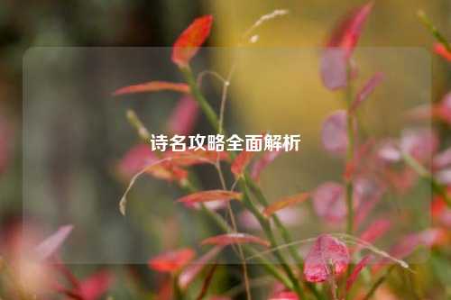 诗名攻略全面解析