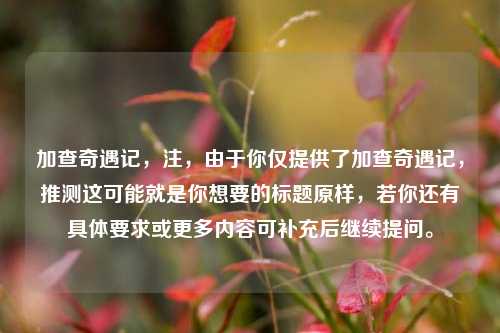 加查奇遇记，注，由于你仅提供了加查奇遇记，推测这可能就是你想要的标题原样，若你还有具体要求或更多内容可补充后继续提问。