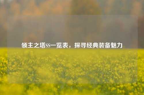 领主之塔SS一览表，探寻经典装备魅力