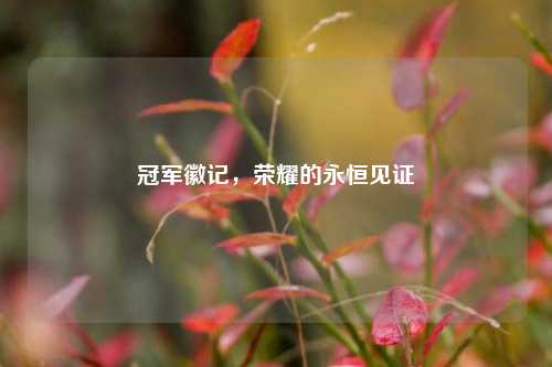 冠军徽记，荣耀的永恒见证