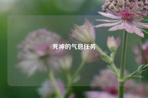 死神的气息任务