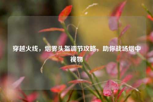 穿越火线,烟雾头盔调节攻略,助你战场烟中视物