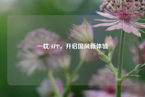 一耽 APP,开启国风新体验