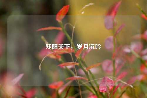 残阳关下，岁月沉吟