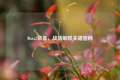 Dota2装备,战场制胜关键密码