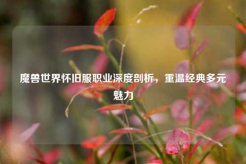 魔兽世界怀旧服职业深度剖析,重温经典多元魅力